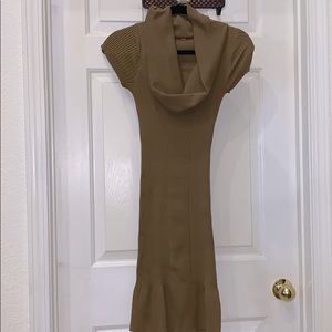 Chestnut Brown Cowl Turtleneck Stretchy Dress